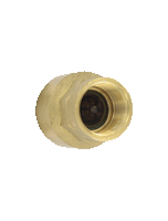 BICV-0F10 | Brass inline check valve | 4