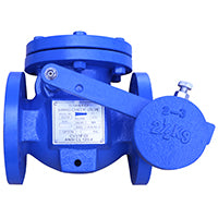 Titan CV31WFIIBB0200 2" | Check Valve | Cast Iron | ANSI Class 125 | Full Body Swing Check (with weight/lever)  | Blackhawk Supply