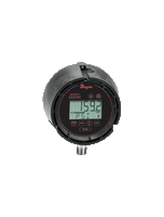 DSGT-101-C1S | Digital indicating transmitter | range 30