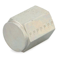 3/4 HPC-S | PIPE HEX CAP | Parker