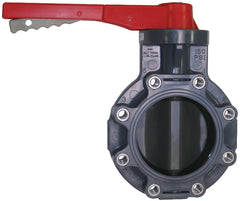 Spears 723321G-100C 10 CPVC LUG INSERT BUTTERFLY VALVE FKM W/GEAR OPERATOR SS LUG  | Blackhawk Supply