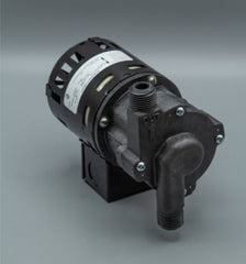 March Pumps 0809-0243-0100 809-PL 230V | Mag Drive Pump  | Blackhawk Supply