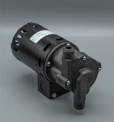 March Pumps 0809-0059-0300 809-PL-HS 230V | Mag Drive Pump  | Blackhawk Supply