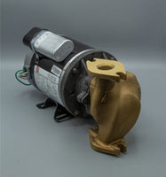 0175-0005-0100 | 830-BR 1Ph | Magnetic Drive Pump | March Pumps