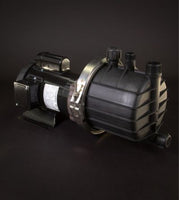 0155-0330-0300 | SP-TE-7P-MD 1Ph 1HP XP | 1&3 Ph Mag Drive Pump | March Pumps