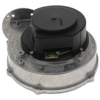 2400-524 | Venter Motor Assembly | TELEDYNE CONTROLS