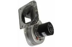 YORK S1-02427519000 115v Draft Inducer  | Blackhawk Supply