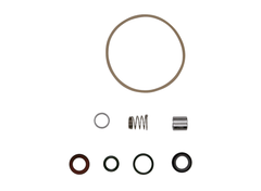 GRUNDFOS 395008 Shaft Seal & Gasket Kit For SPK 1/2/4/8 All CVBV (FKM)  | Blackhawk Supply