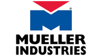 B34235 | 7/8 Four-Bolt Check Valve | Mueller Industries