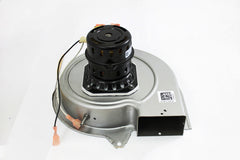 Amana-Goodman 0131M00121SP 230V 3000RPM 1/50HP INDUCE MTR  | Blackhawk Supply