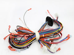Amana-Goodman 0159F00021 11 PIN WIRING HARNESS  | Blackhawk Supply