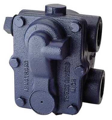 Armstrong International 175A4 1" 175# F & T TRAP  | Blackhawk Supply