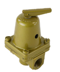 Armstrong Fluid Technology 216942-300 RL-11 RELIEF VALVE 30#  | Blackhawk Supply