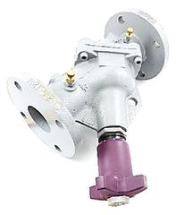 Armstrong Fluid Technology 570109-376 CBV-2 1/2"FLG BalancingValve  | Blackhawk Supply