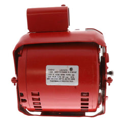 Armstrong Fluid Technology 805316-010 115v 1/12hp 1725rpm Motor Assy  | Blackhawk Supply