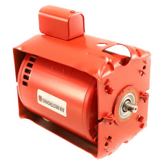 Armstrong Fluid Technology 817025-001 115v 1/6hp 1725rpm Pump Motor  | Blackhawk Supply