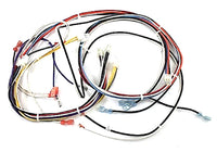 R45407-001 | Wire Harness | Armstrong Furnace