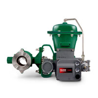 V200 | Fisher™ Vee-Ball™ V200 Control Valve | Fisher