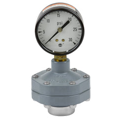Spears G1002-005 1/2 PVC 0-100 PSI GAUGE GUARD EPDM  | Blackhawk Supply