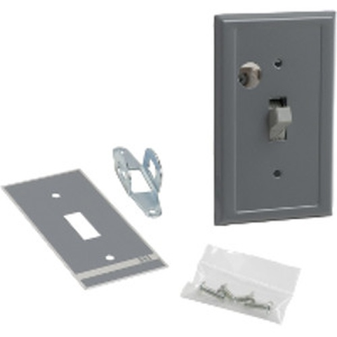Square D 2510KF1 Single Unit Manual Switch, 30A, Flush Mount, 2-Pole, Toggle Operated, No Indicator, 600VAC  | Blackhawk Supply