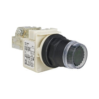 9001SK1L35GH13 | PUSHBUTTON 600VAC 10AMP 30MM SK +OPTIONS | Square D
