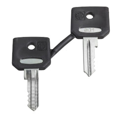Square D ZBG520E Selector switch Replacement Set of 2 keys 520E
  | Blackhawk Supply