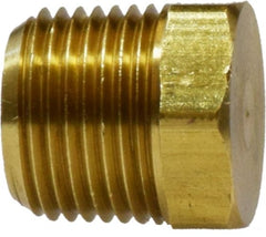 Midland Metal Mfg. 28201 1/8 MIP CORED HEX HD PLUG, Brass Fittings, Pipe, Cored Hex Plug  | Blackhawk Supply