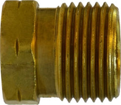 Midland Metal Mfg. 34016 STANDARD POL NUT, Brass Fittings, POL, Standard Nut   | Blackhawk Supply