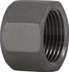 Midland Metal Mfg. 62078 1/2 304ss Hex Cap, Nipples and Fittings, 304 And 316 150# Stainless Steel Fittings, Hex Cap 304 S.S.  | Blackhawk Supply