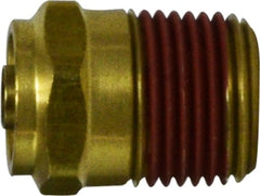 Midland Metal Mfg. 680302 3/16 X 1/8 P-IN X MIP D.O.T. ADP, Brass Fittings, D.O.T. Push In, Male Connector  | Blackhawk Supply