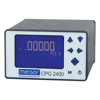 52954343 | Precision pressure indicator - Model CPG2400 | Wika