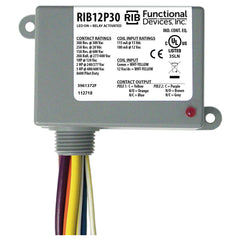 Functional Devices RIB12P30 Enclosed Relay 30Amp DPDT 12Vac/dc  | Blackhawk Supply
