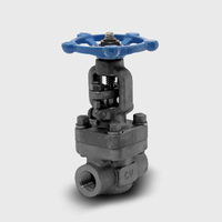 286SW010    | 1" STAINLESS STEEL CLASS 800 GATE VALVE, SW | SERIES 28  |   Chicago Valves