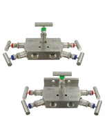 BBV-21F    | Flanged 5-valve manifold with side mounted vent valves.  |   Dwyer