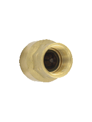 Dwyer BICV-0F03 Brass inline check valve | 3/4" connection | 11.0 Cv value | weight 7.8 oz (222 g).  | Blackhawk Supply