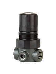 Dwyer MPR1-0 Miniature pressure regulator | range 0-5 psi.  | Blackhawk Supply