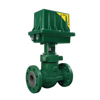 D4 | Fisher™ D4 Control Valve | Fisher