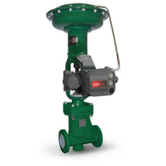 Fisher RSS Fisher™ RSS Lined Globe Valve  | Blackhawk Supply