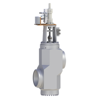 146 | Sempell Model 146 Severe Feedwater Service Valve | Fisher